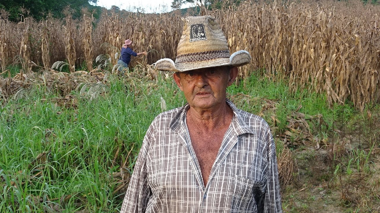MUTIRÃO QUEBRA DO MILHO EM CABO VERDE-MG