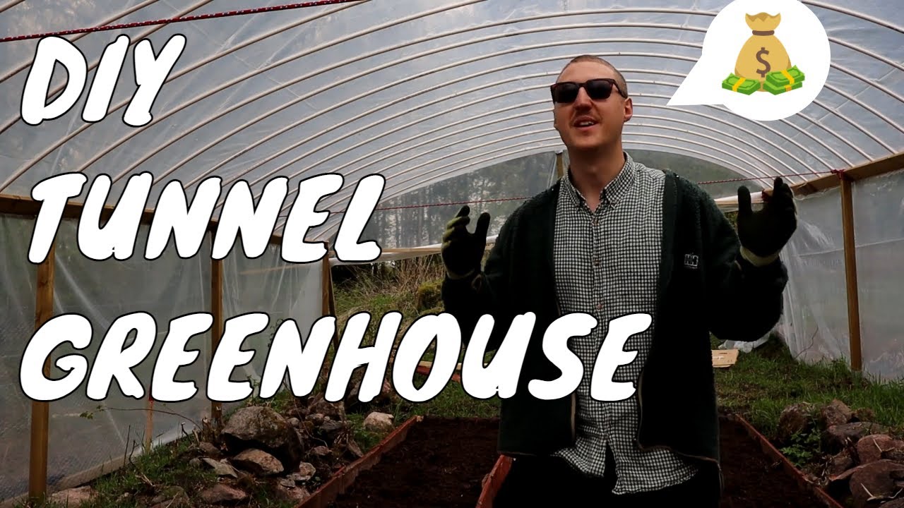 SWEDISH HOMESTEAD - HUGH HEFNER THE MEAT RABBIT ( DIY INEXPENSIVE  TUNNEL GREENHOUSE  BUILD TOUR ) 🐇