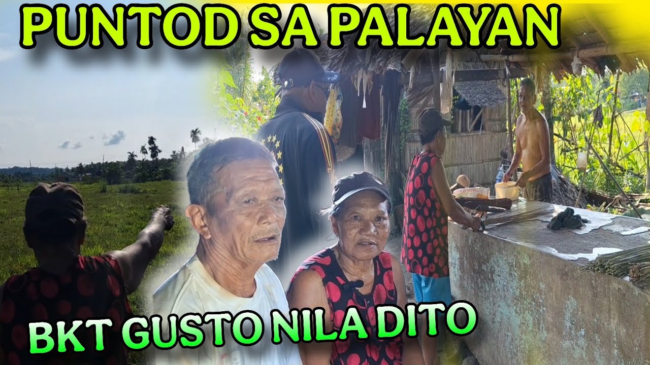 SA GITNA NG PALAYAN AT SA TABI NG NETSO MAY 2 SENIOR  #valsantosmatubang #kalingaprab #joeydgreat 