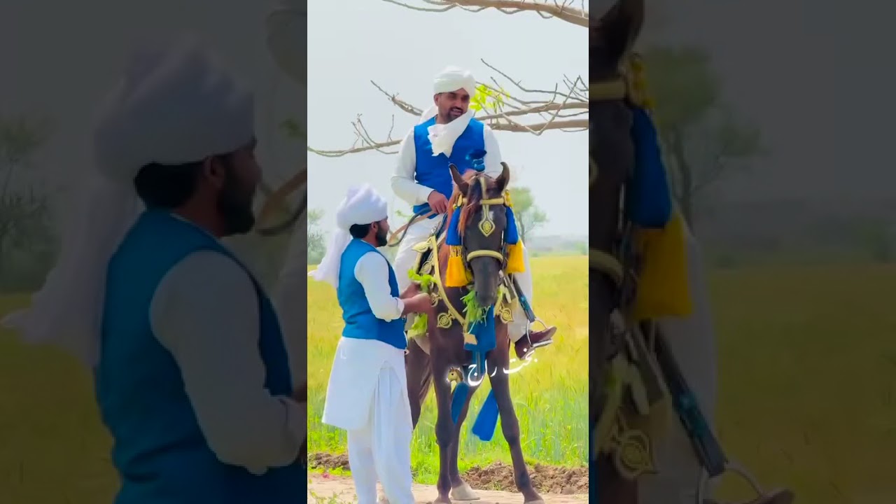 Ch Manazar Ranjha &Friends