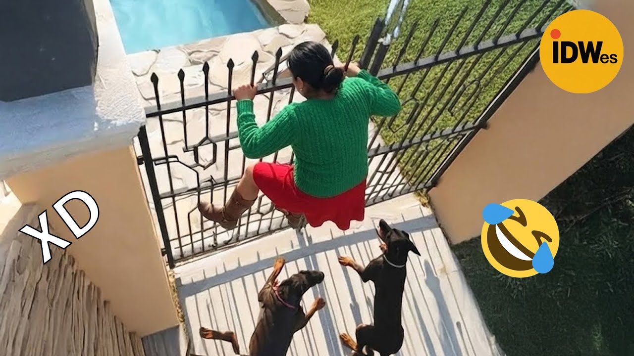 SI TE RÍES PIERDES NIVEL DIOS #387 🤣 VIDEOS DE RISA MUY GRACIOSOS 2026😆