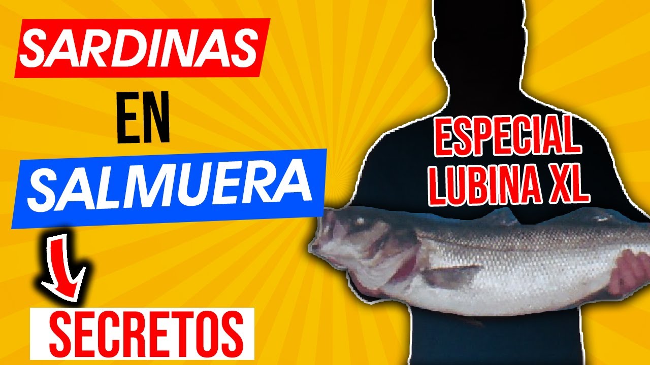 SARDINA como cebo para pescar LUBINA XL ⏩ Surfcasting (en salmuera)