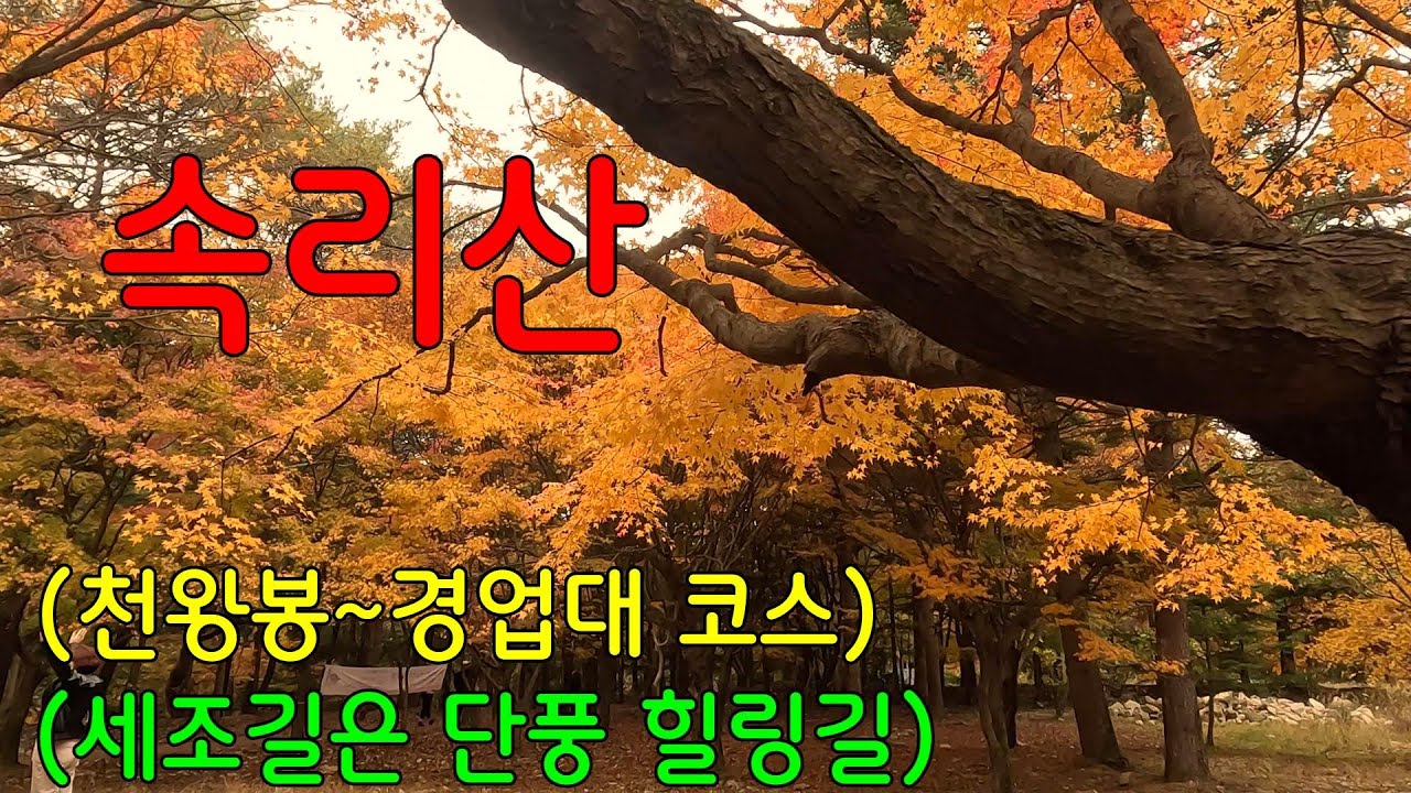 경업대 코스는 속리산에서 단풍이 가장 아름다운 곳 ㅣ세조길은 힐링 단풍길ㅣ바닷가 차박