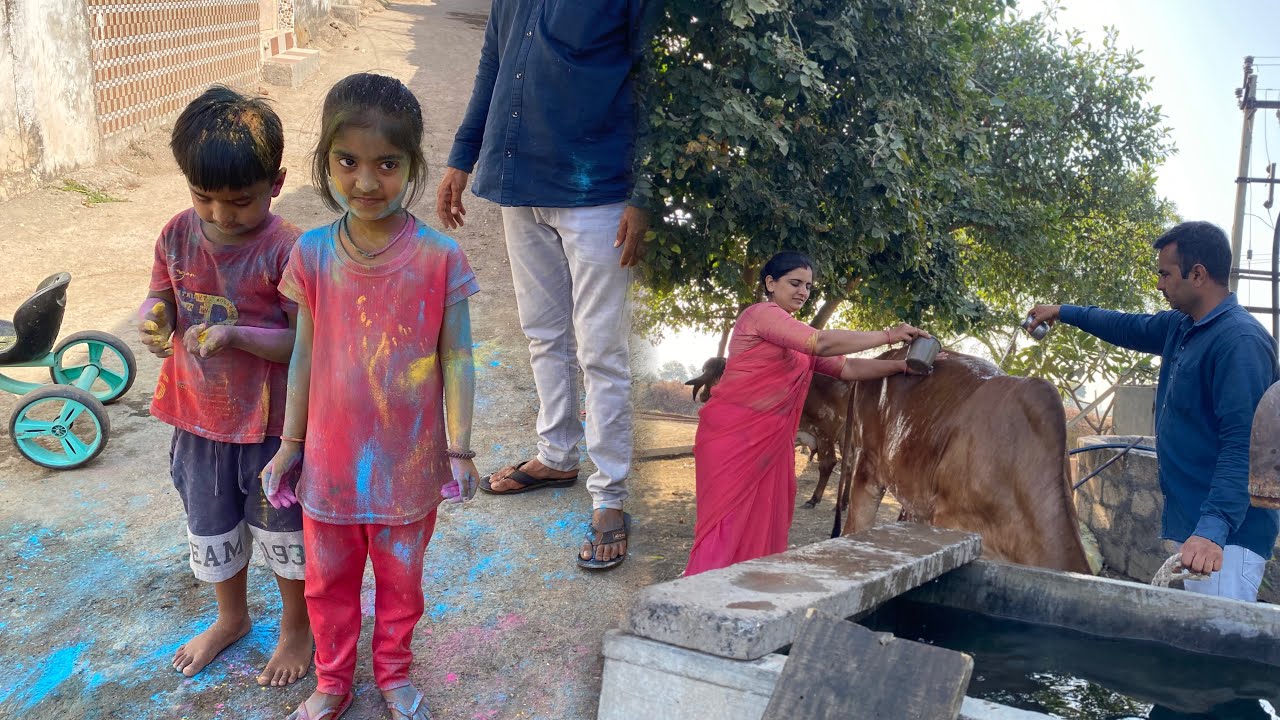 આજે ગાયુ ને આપણે ધુળેટી કાઢી