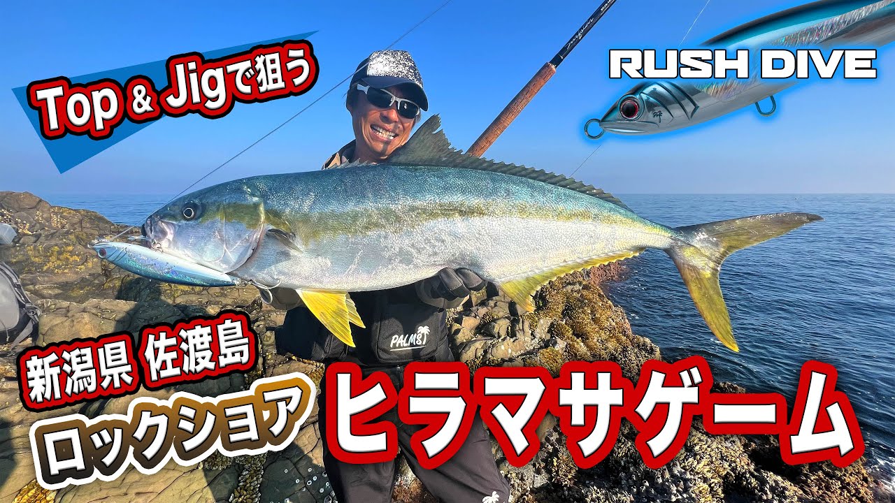 佐渡 ヒラマサゲーム / ロックショアで狙う佐渡ヒラマサ