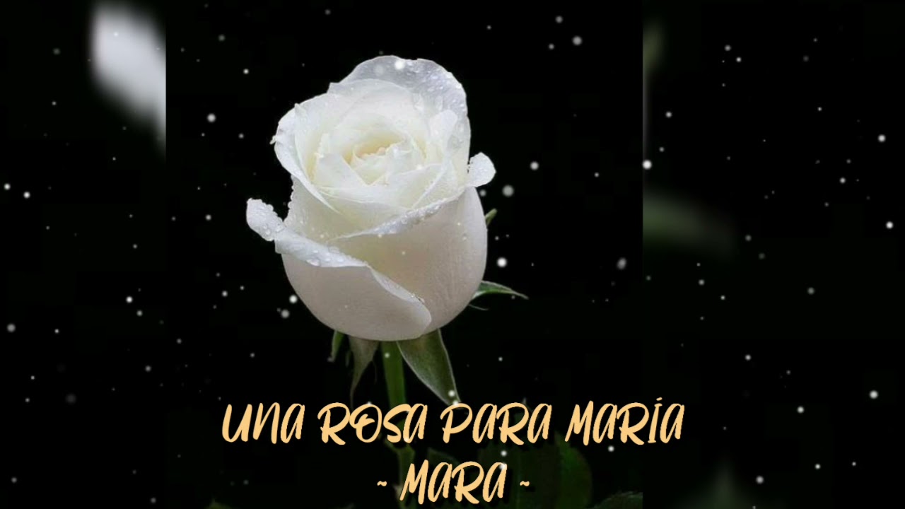 Una rosa para María ~con letra ~ MARA🌹