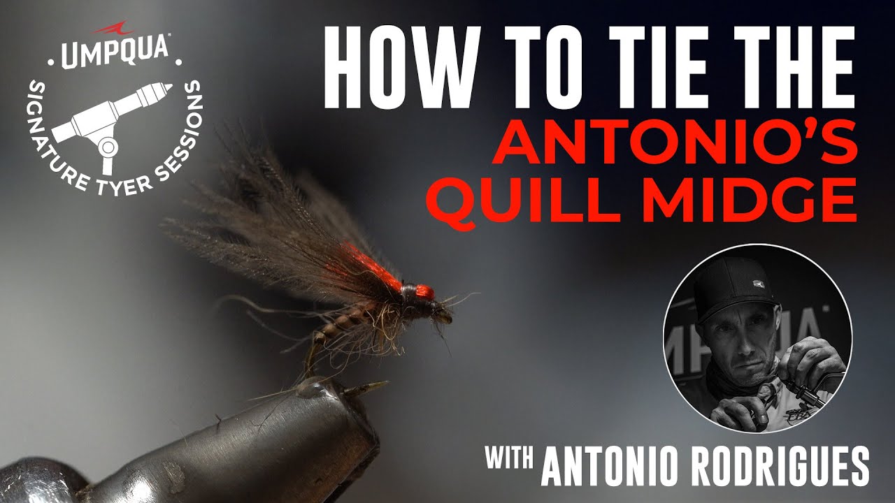 How to tie the Antonio's Quill Midge with Umpqua Signature tyer Antonio Rodrigues