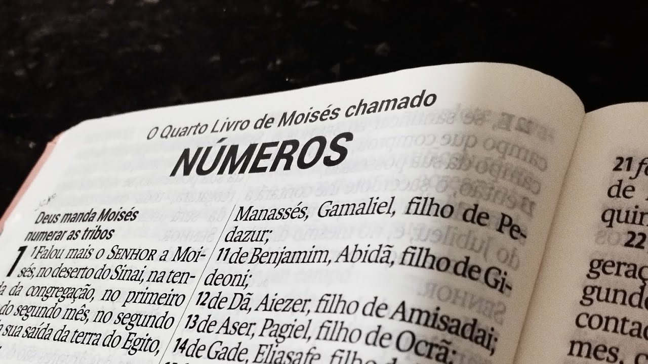 Leitura Anual da Bíblia: Números 1-2