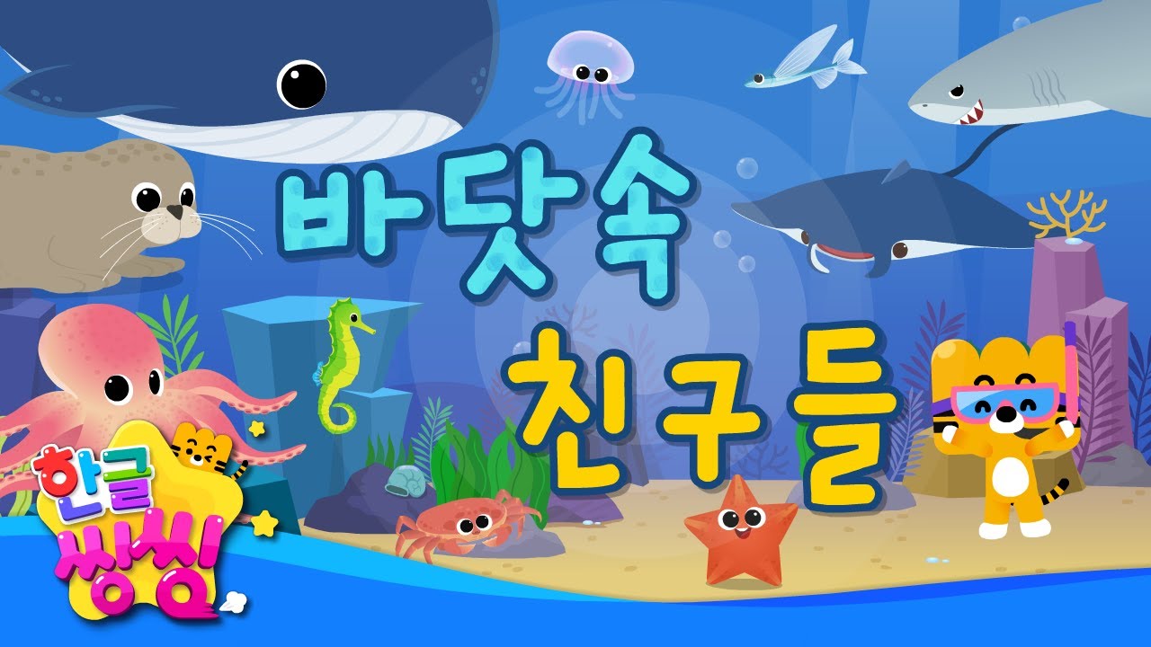 🐬바닷속 친구들🐙│한글공부│📚🌈씽씽단어쏙쏙│단어카드│한글씽씽│동물단어