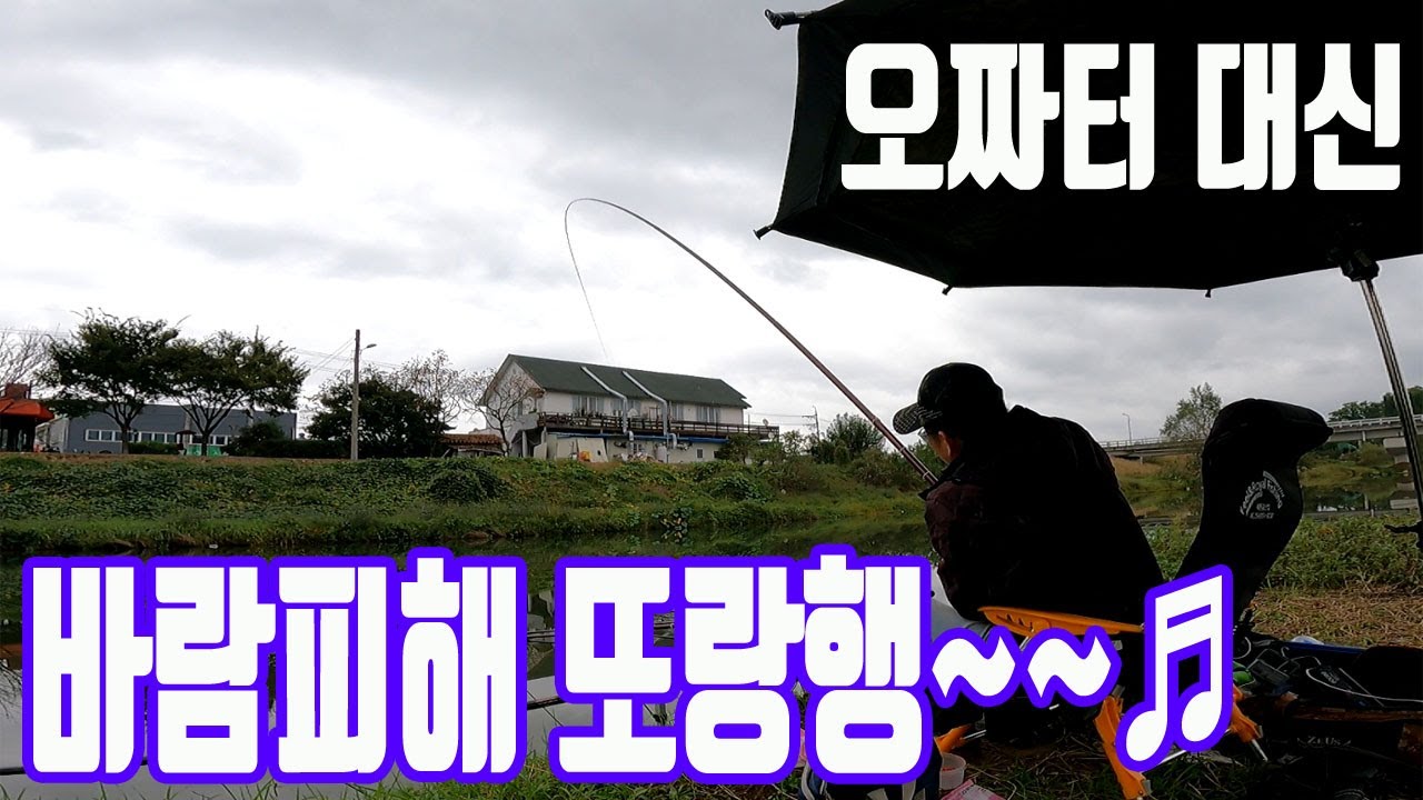 비겁하다 욕하지마!! 바람무서워 5짜터 포기하고 또랑으로 고고/이거다피싱TV 붕어낚시 조행기