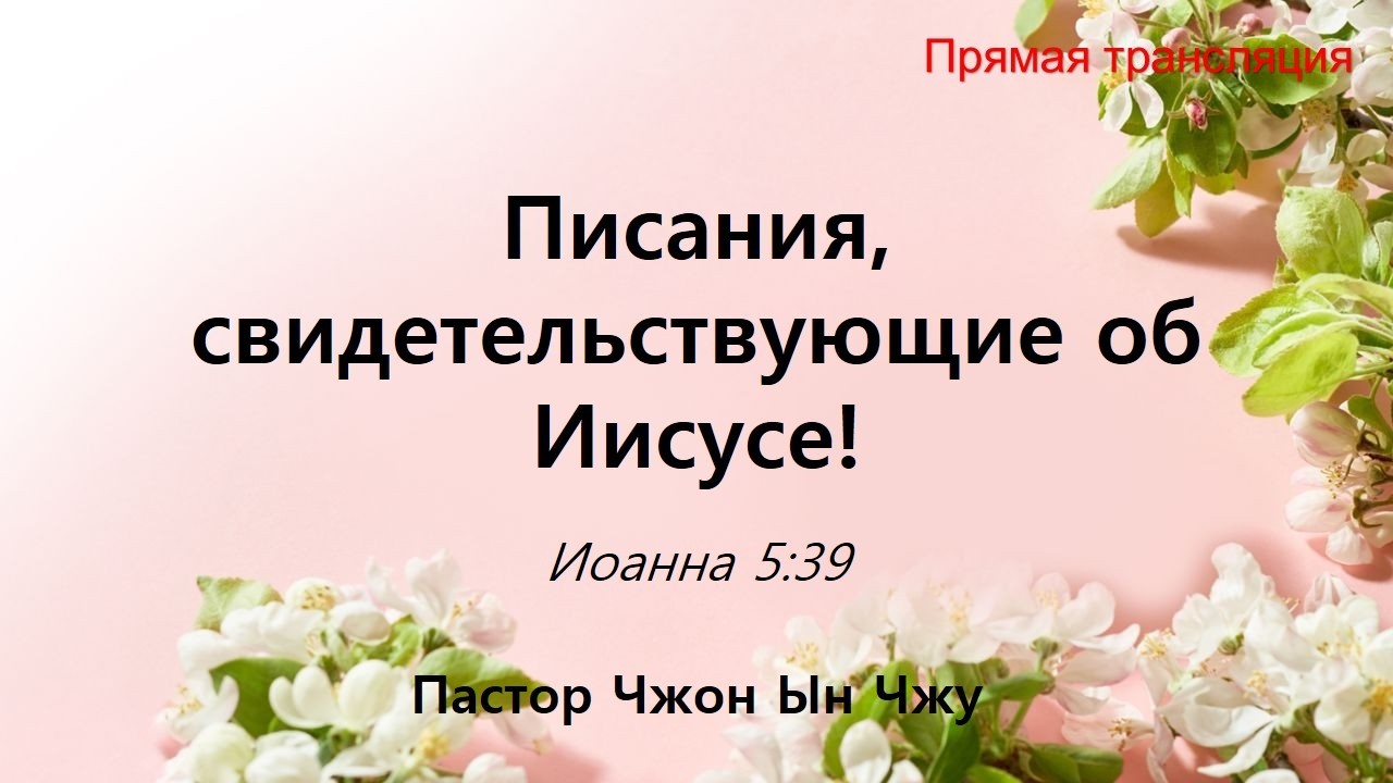 (2026.03.15) Писания, свидетельствующие об Иисусе! Воскресное служение церкви 