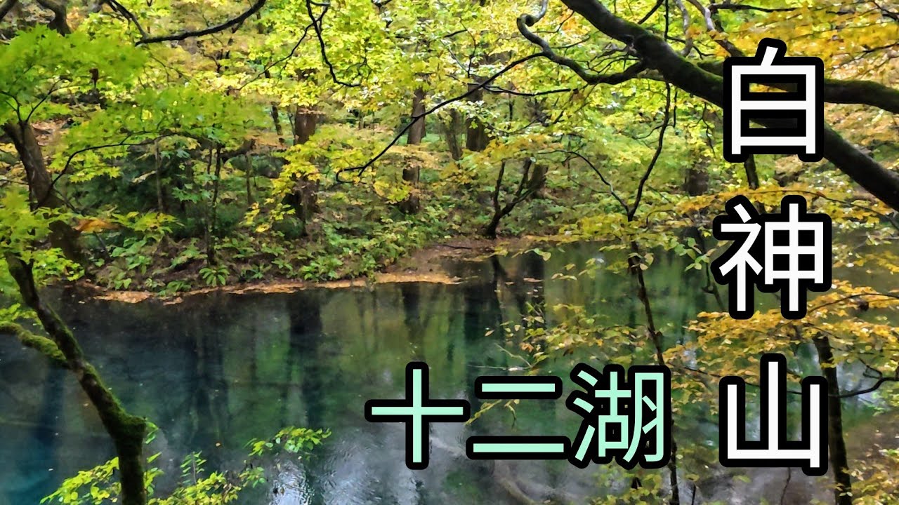 超美的白神山十二湖紅葉之旅：一天內體驗JR愉快列車白神號、三味線表演、千疊敷海蝕地形、五能線無敵海景、世界遺產白神山之十二湖絕美湖景與楓紅、日本夕陽百景