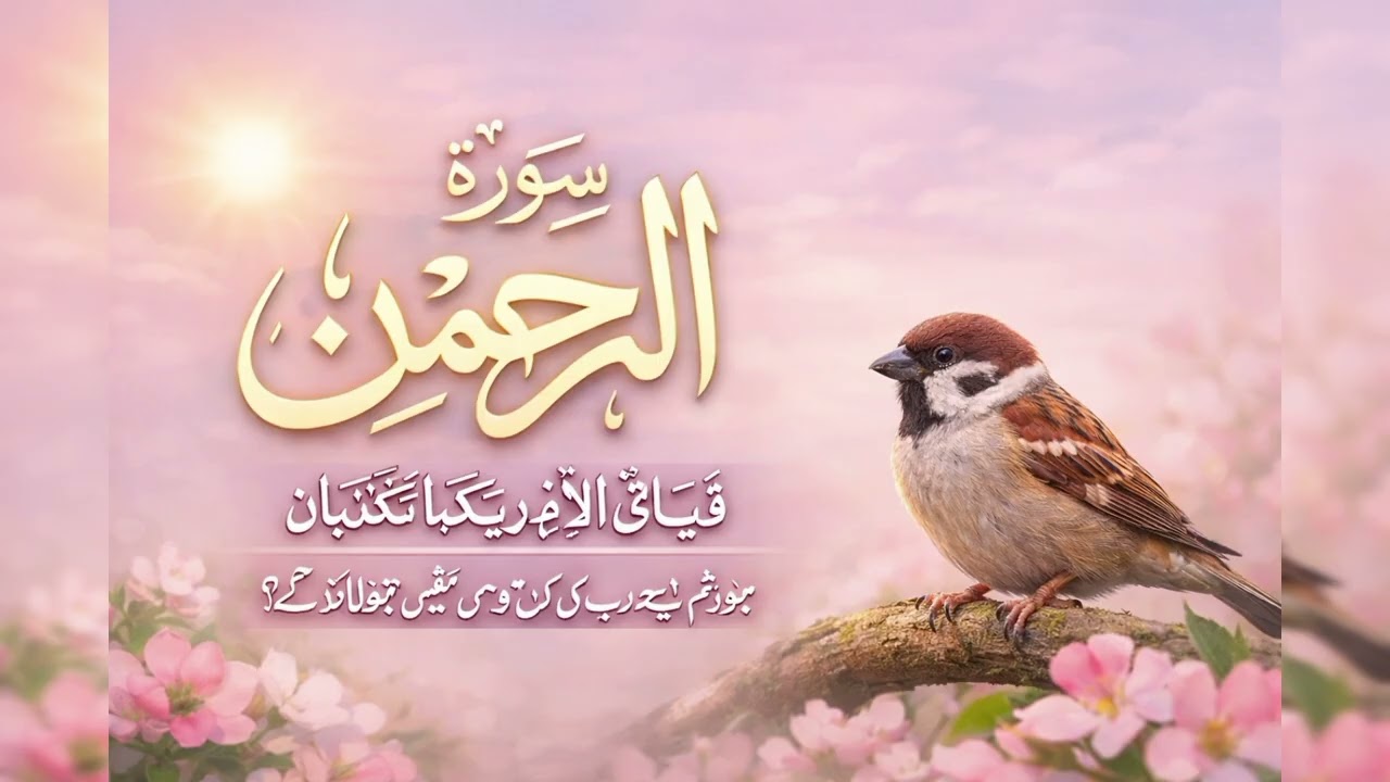 سورۃ الرحمن | دل کو سکون دینے والی تلاوت | Surah Ar Rahm#اسلام #تلاوت # subscribe 