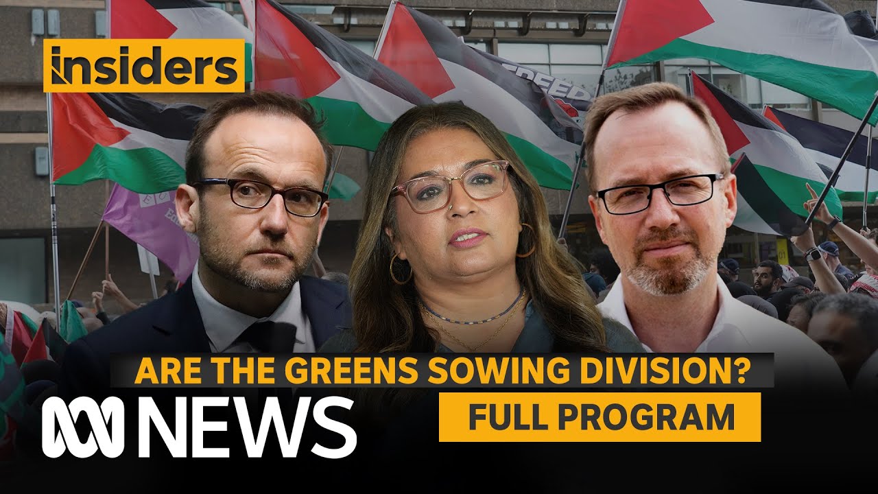 Are the Greens Sowing Division? | Insiders | ABC News