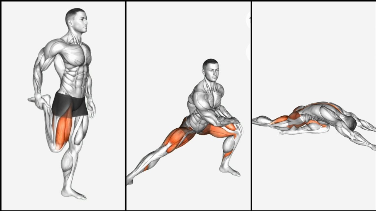 Top 5 Thigh Exercises for Strong and Toned Legs
