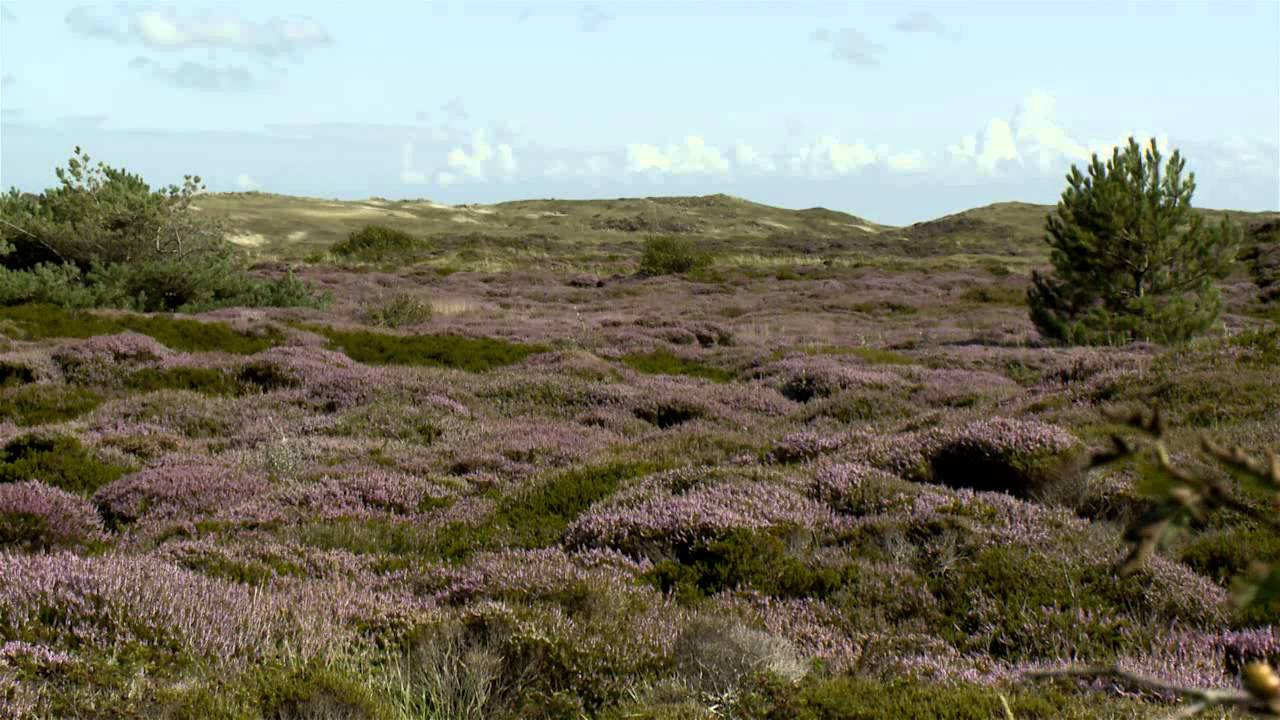 Herfst op Texel | ... op Texel #3