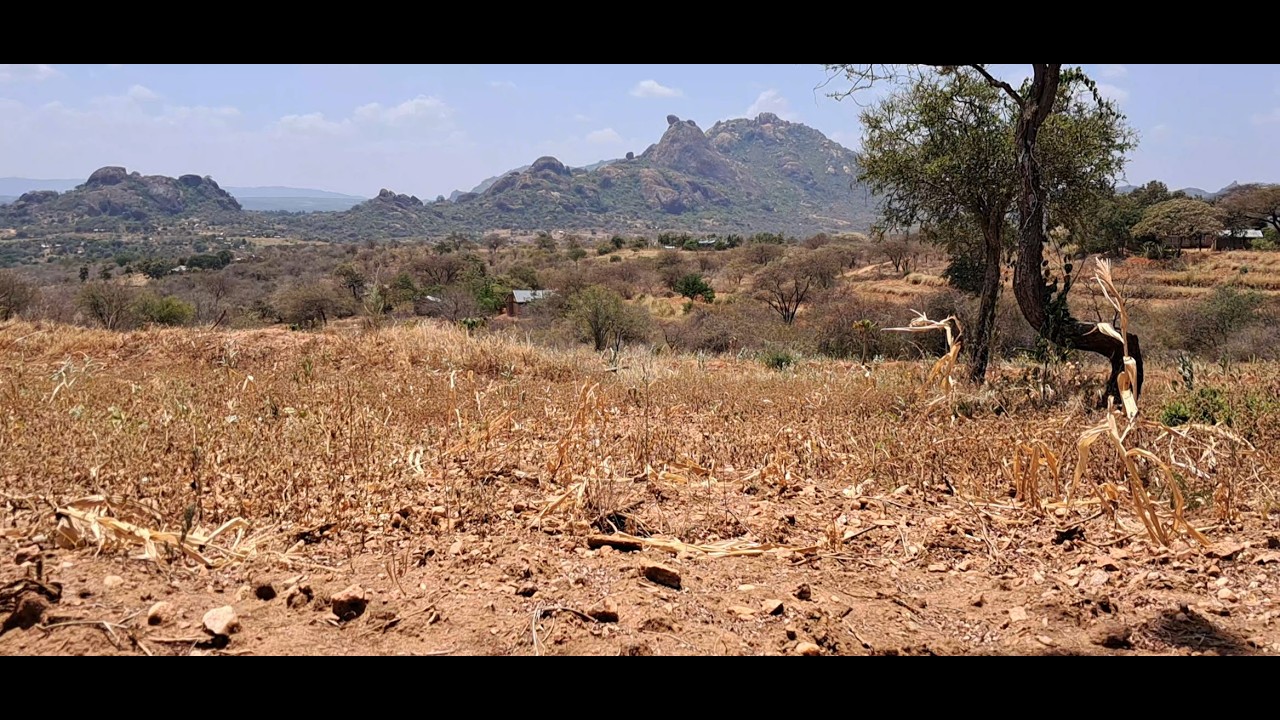 Sad/Another dry day here in the village
