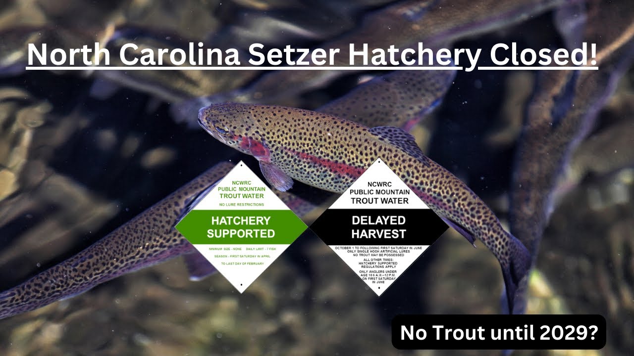 Creek Talk:   North Carolina Delayed Harvest (No Trout Stocking until 2029?)