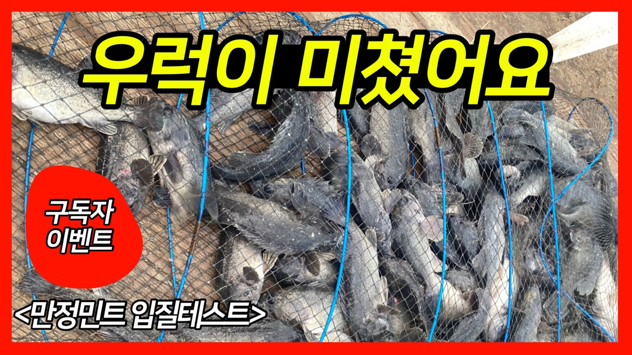 사장님께 혼날 각오로 다 알려드림; 만정민트 개장 전 필수 시청 영상 🔥