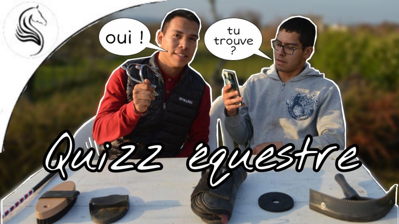 [ LECON SUR LE CHEVAL ] Je fait un quizz équestre a mon frère et ces résultats sont bien !!! 😁👍👏 #6