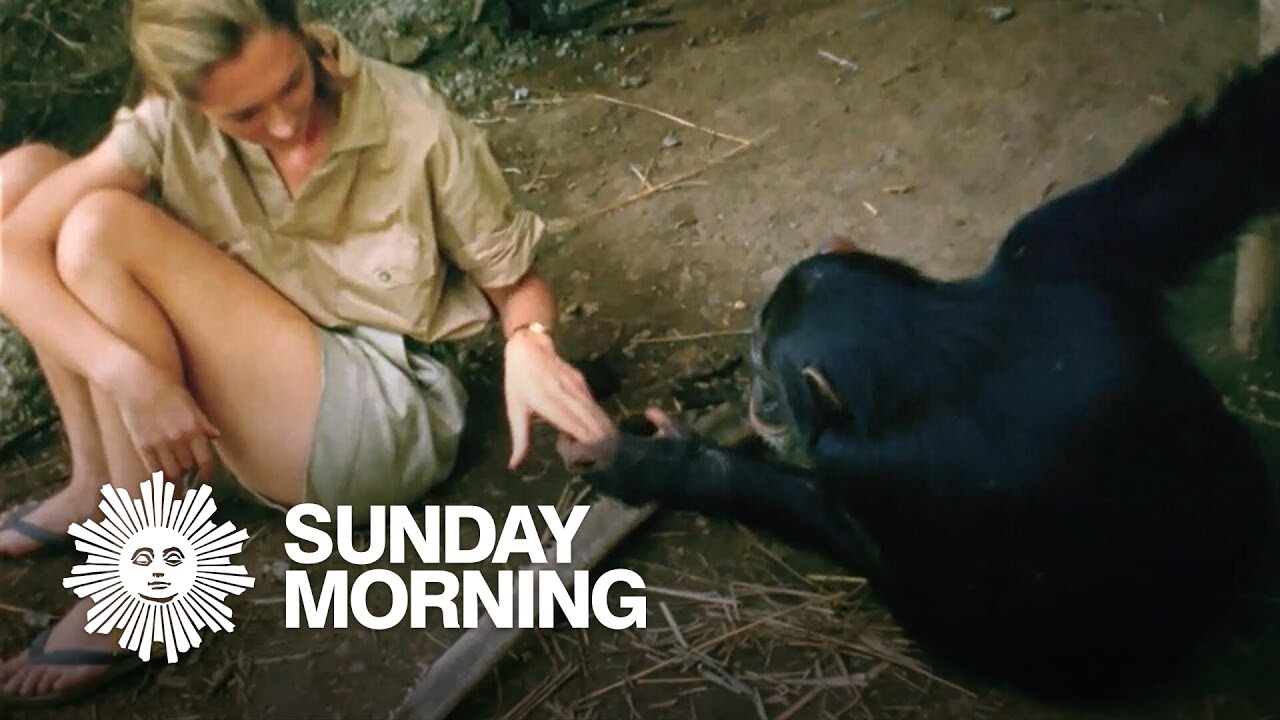 Passage: Remembering Jane Goodall