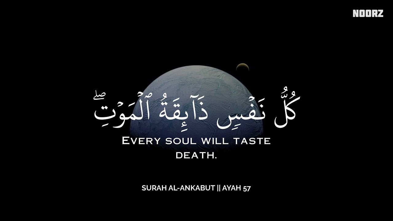 رح سمعك وقلبك بالقرآن❤️🎧 وأستمع لتلاوة هادئه بصوت محمد هشام | راحة نفسية😌 | Mohamed Hesham