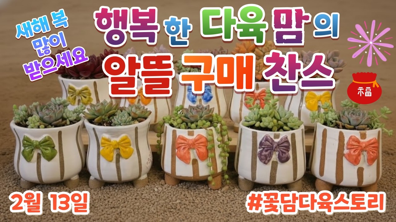 2월 13일 ☎ 010-3711-3080 