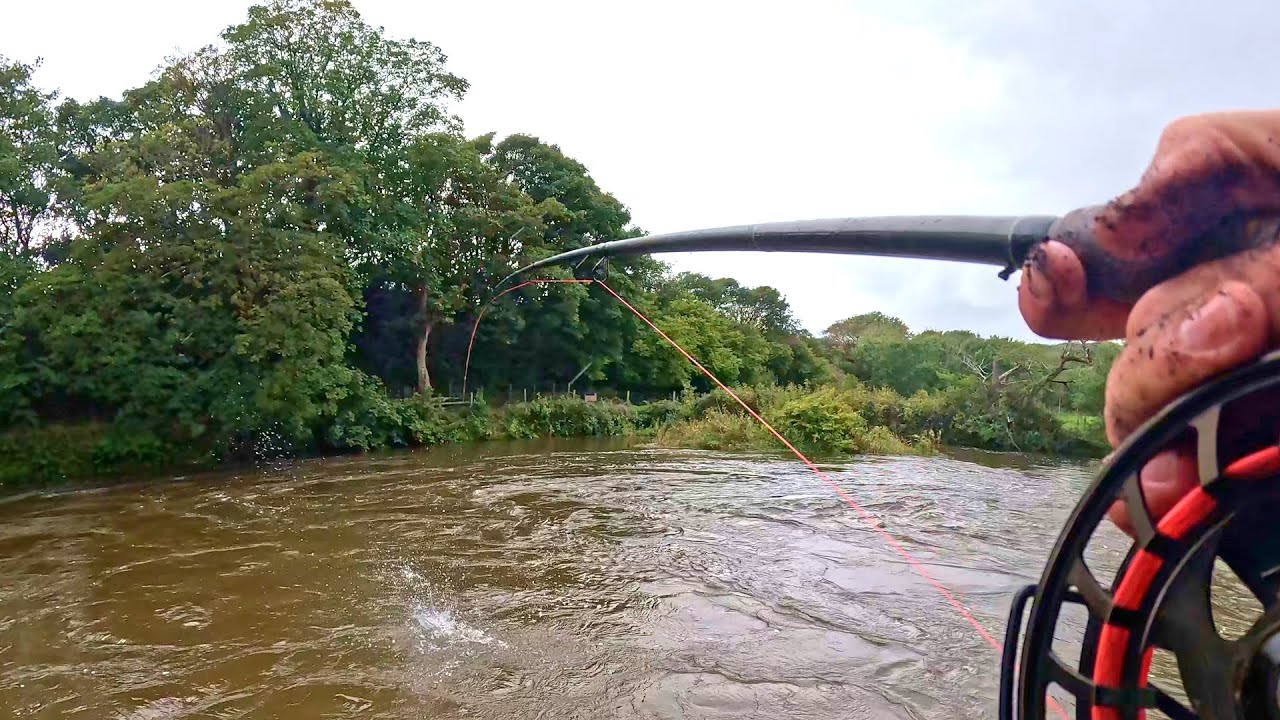 Worming for SALMON and SEA TROUT in CUMBRIA UK | GOT A SALMON!!😁🎣