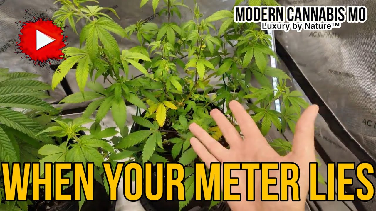 Grow Journal | (Выпуск 26) | 🌱💪 Выбраны 2 победителя + Хороший, плохой и злой😵&zwj;💫💧🔒