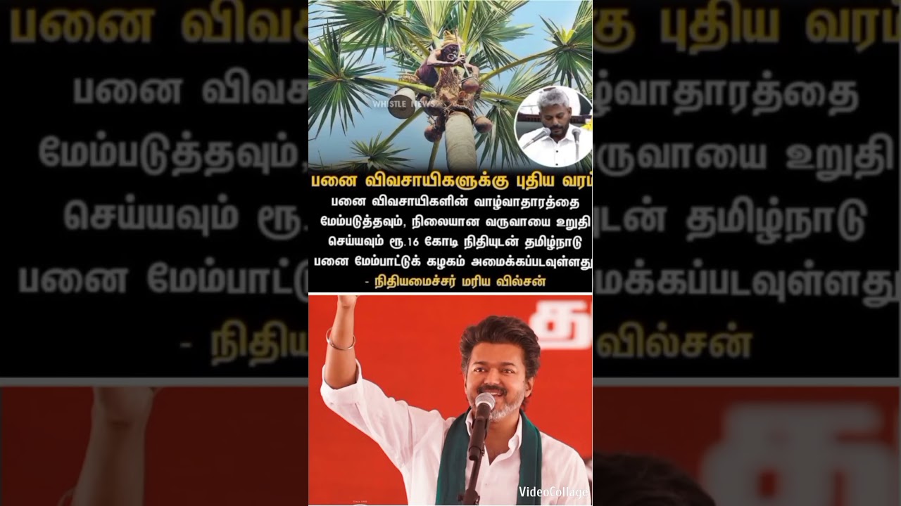 #tvkvijay #tvknews #tvk budget panai trees farmers useful #vijay #shorts #shortvideo #short #cmvijay