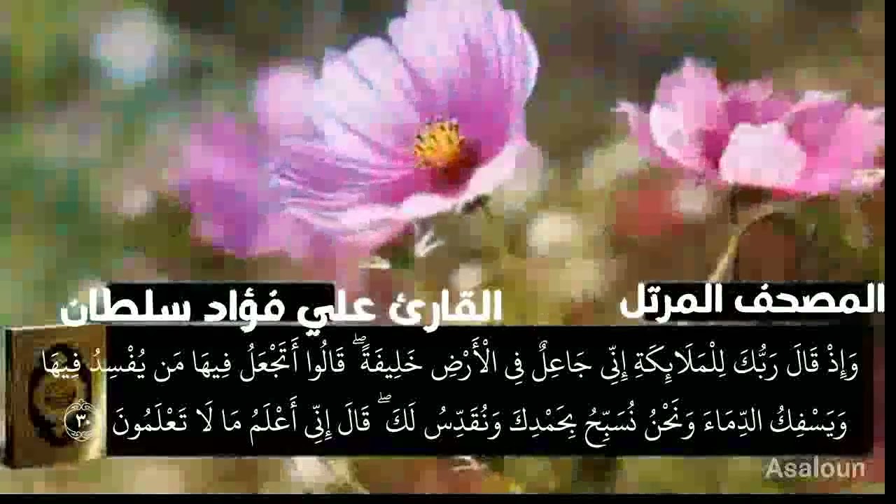 الجزء الأول من القرآن الكريم بصوت القارئ علي فؤاد سلطان # رواية حفص عن عاصم من طريق الشاطبية 