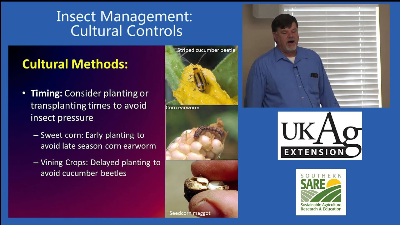 Insect Management, Part 2: Cultural Controls
