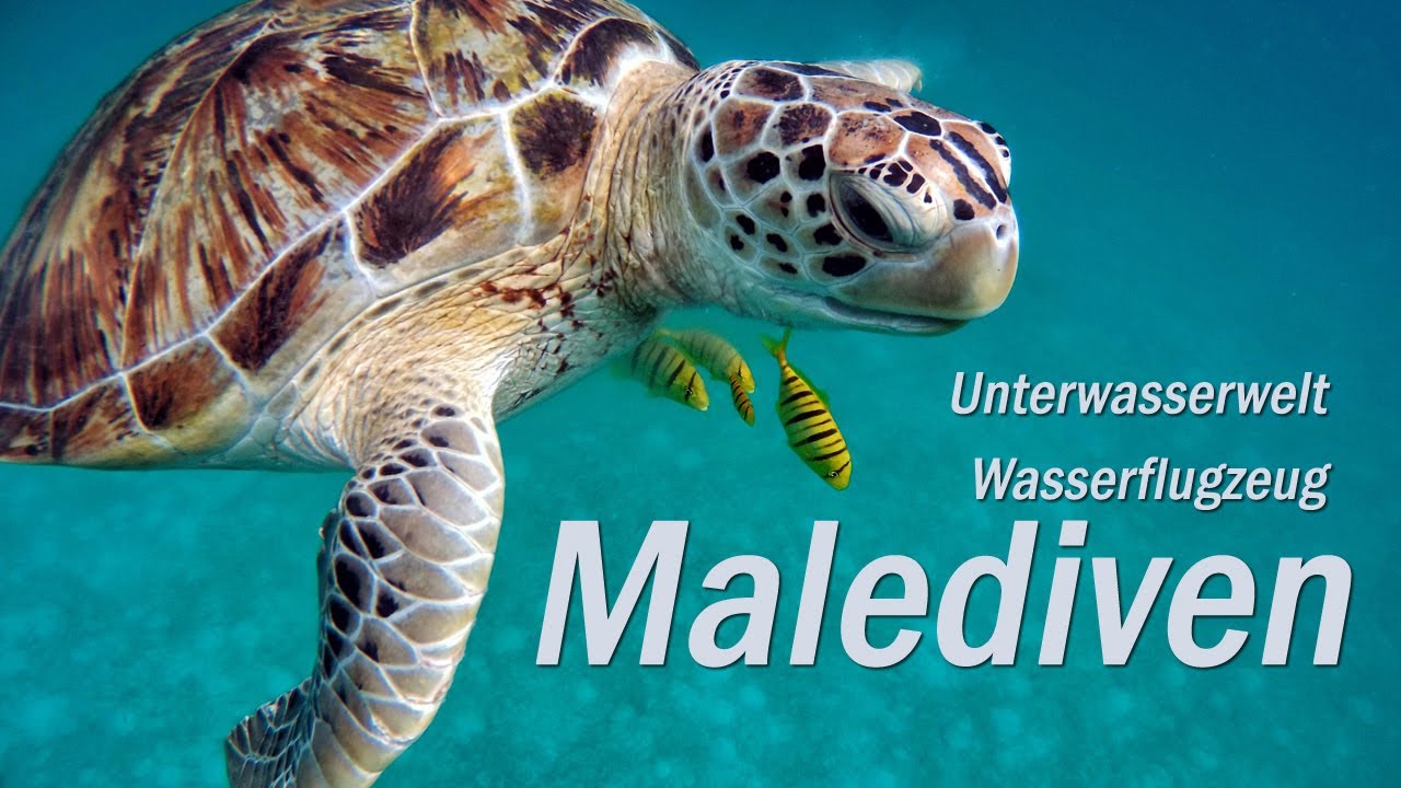 Malediven - Unterwasserwelt und Wasserflugzeug im Sturm!