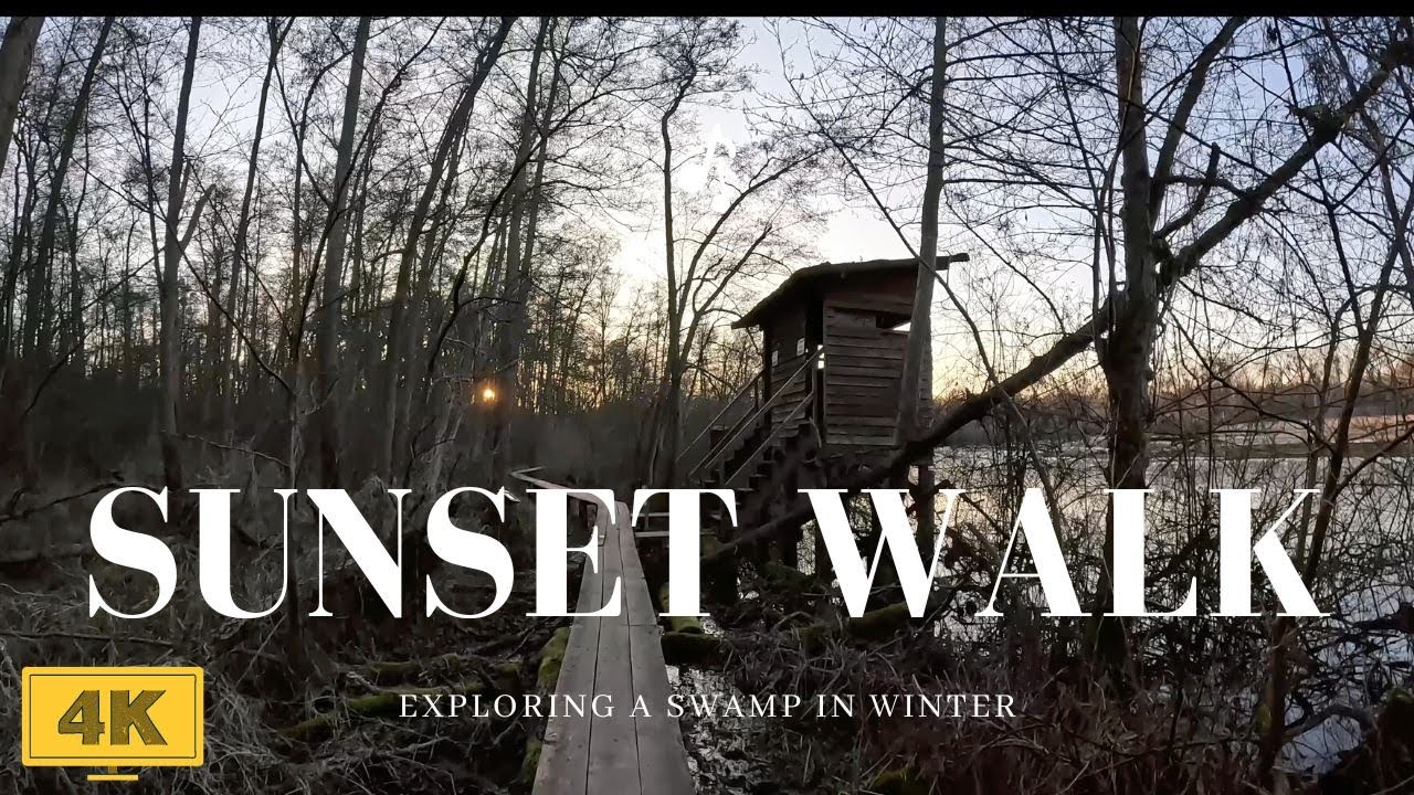 Eery Sunset Walk along a Lake, Germany | 4K ASMR