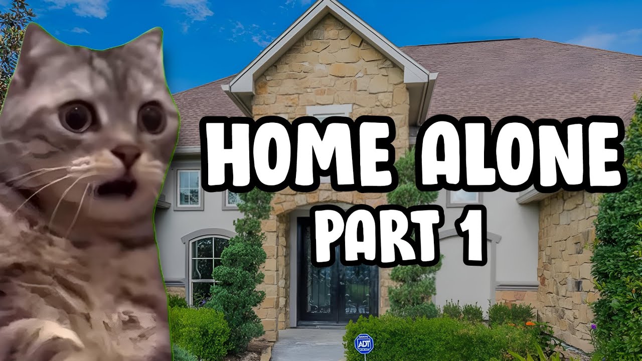 CAT MEMES HOME ALONE PART 1