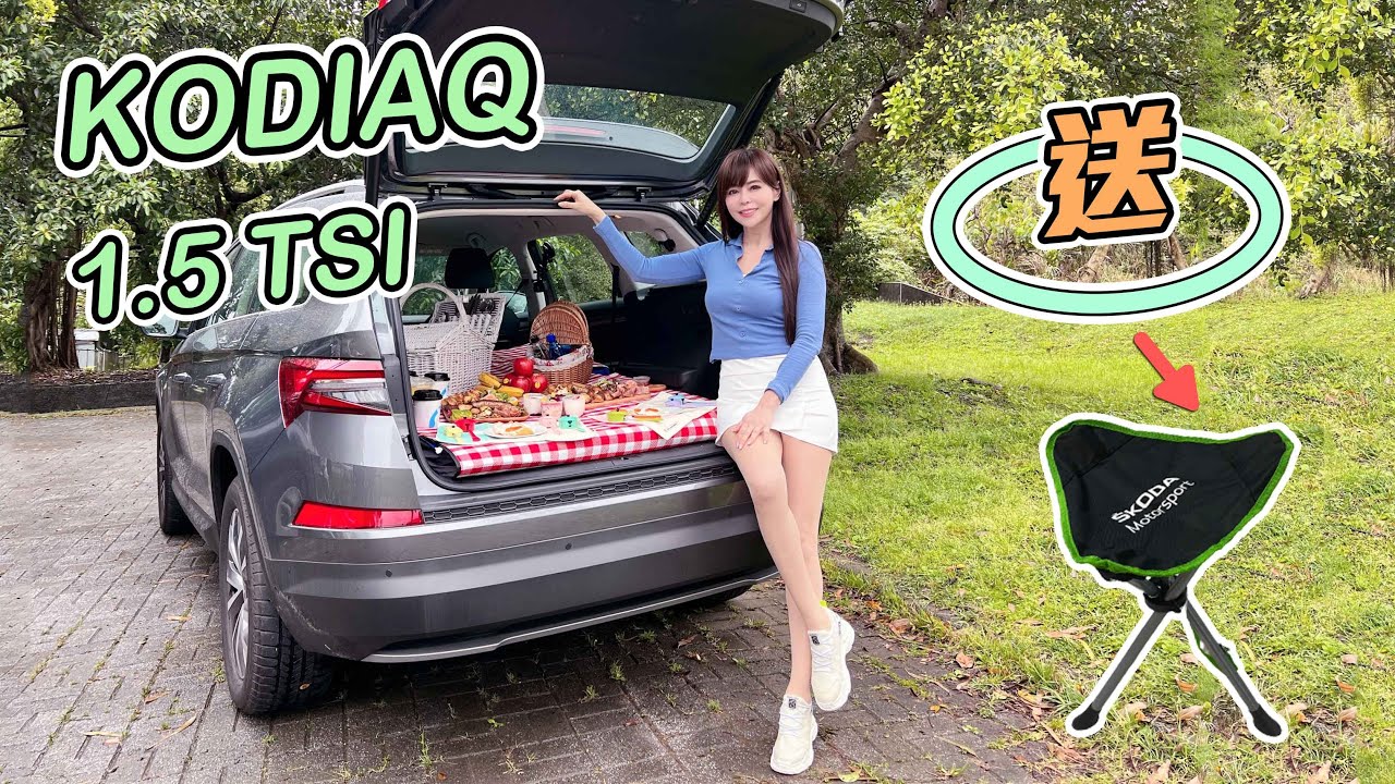 【入門配備很陽春?!】大棕熊買得起養不起？SKODA KODIAQ 防三寶撞擊實測＋保養資訊揭秘！