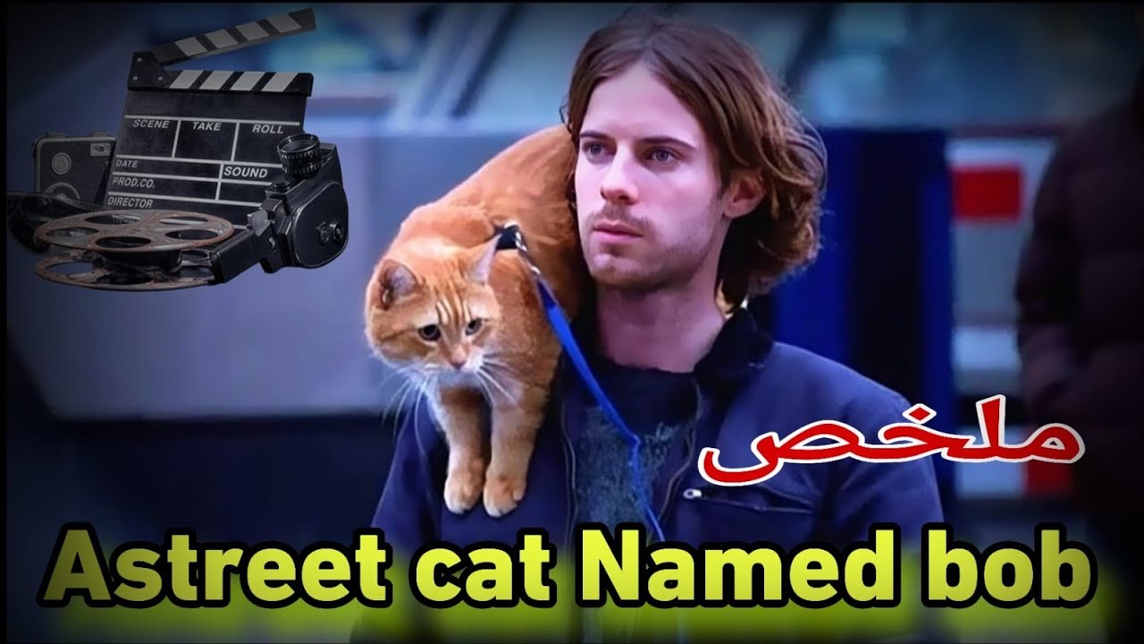 كان مشرّد… وقط واحد بدّل حياتو كاملة! 😲 قصة حقيقية | ملخص فيلم A Street Cat Named Bob»