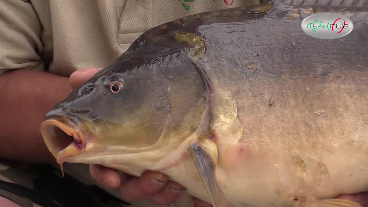 Team NULA - Vodní nádrž Dalešice 2015