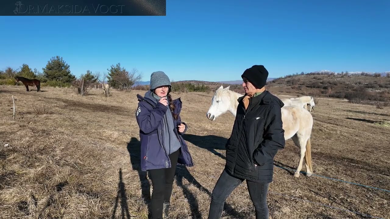 Warum Verleumdung nicht funktioniert? Nat&uuml;rliche Pferdef&uuml;tterung