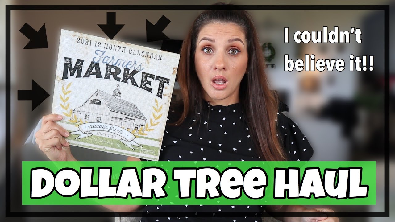 DOLLAR TREE *NEW FINDS* THE BEST FARMHOUSE FIND (SHE'S A CLOWN)