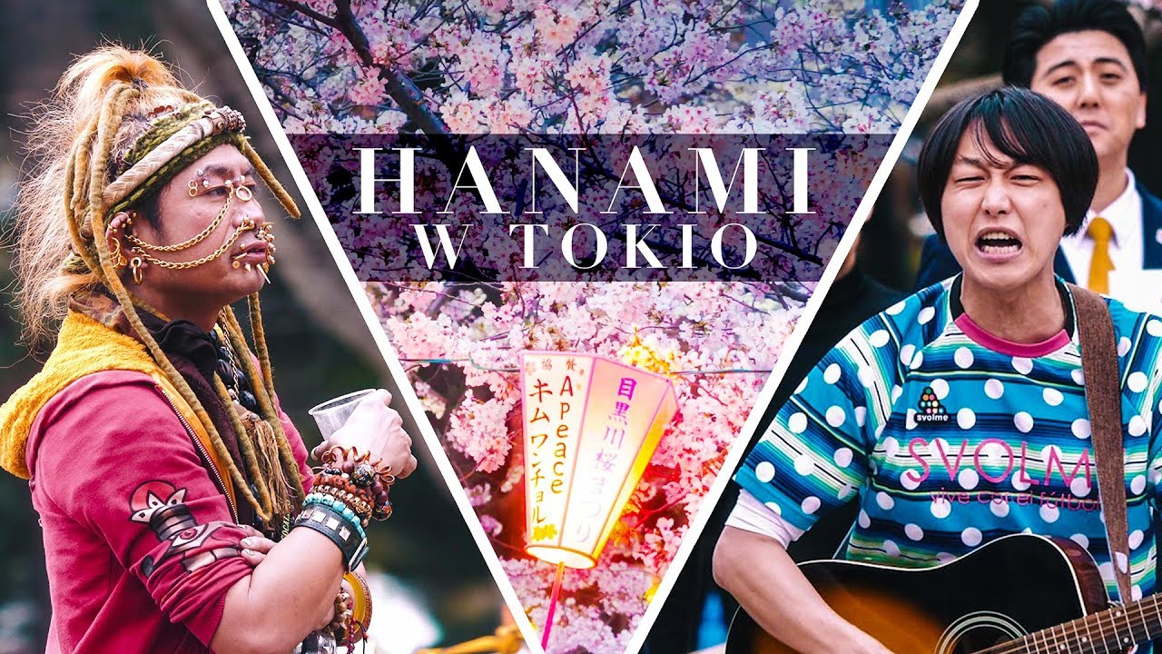 Dlaczego kwitnąca wiśnia to SYMBOL JAPONII? 🌸