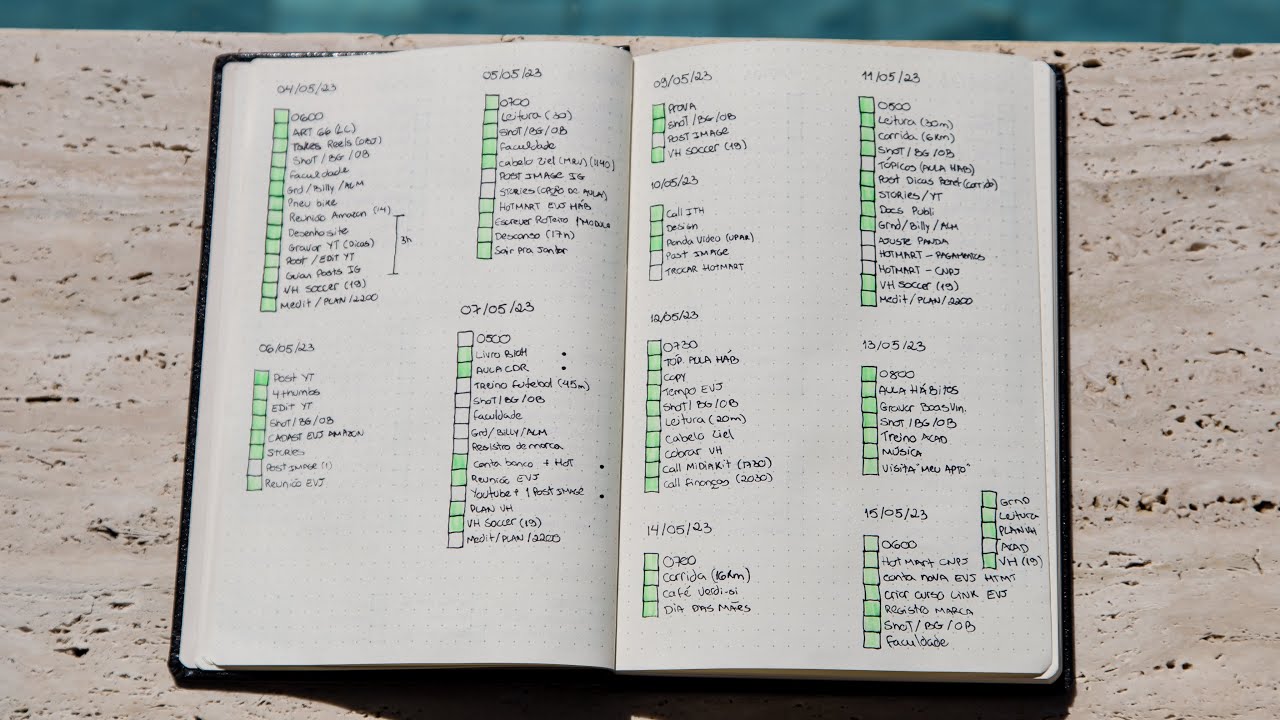 Como fazer um DIÁRIO todos os dias para aumentar a produtividade, a clareza e hábitos saudáveis