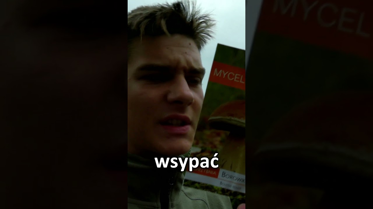 Sadzę własne grzyby!