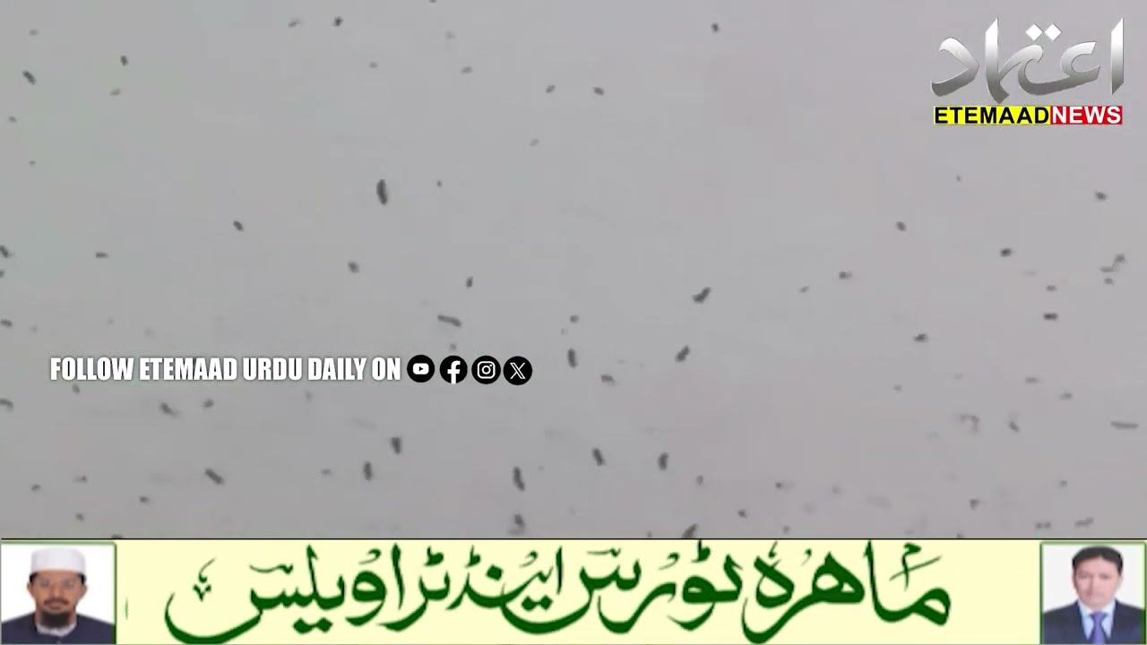 Video Of Crows Flying In The Sky In Tel Aviv Goes Viral, Causing Panic Among Citizens