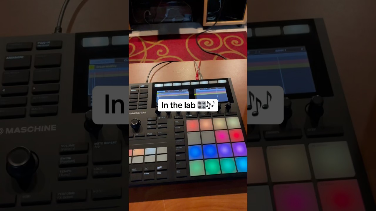 Maschine MK3 beats 🎶 #maschine #nativeinstruments