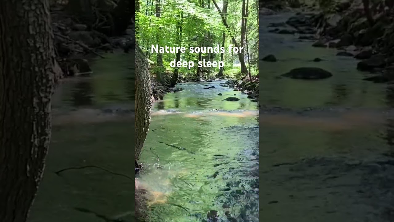 #whitenoiseforsleeping #deepsleepsounds #asmrsleep #relaxingsound