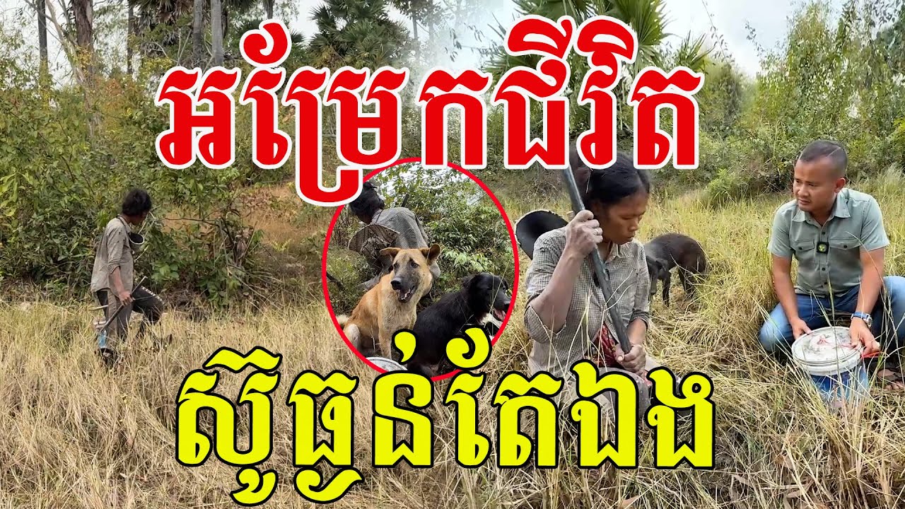អម្រែកជីវិត ស៊ូធ្ងន់តែឯង ជាកូនផង ជាឪពុកផង ជាម្ដាយផង