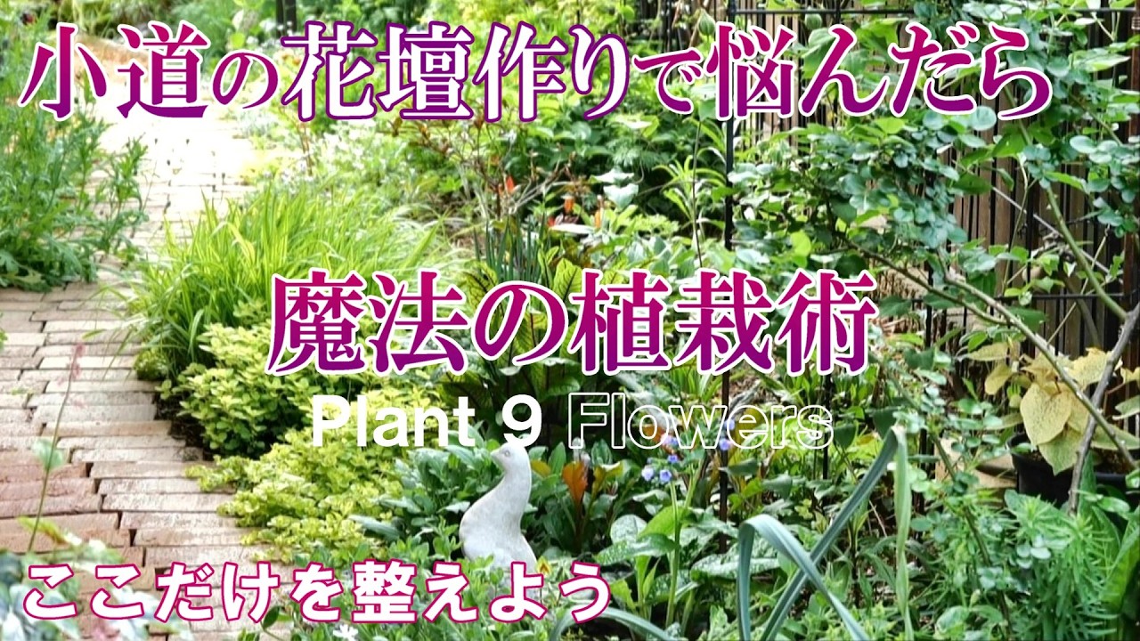 【効果大】ナチュラルにスッキリ整う小道花壇の植栽方法｜種が欲しくて買った花｜４月の庭とガーデニング