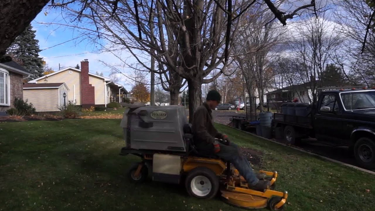 Mowing & Collecting Leaves