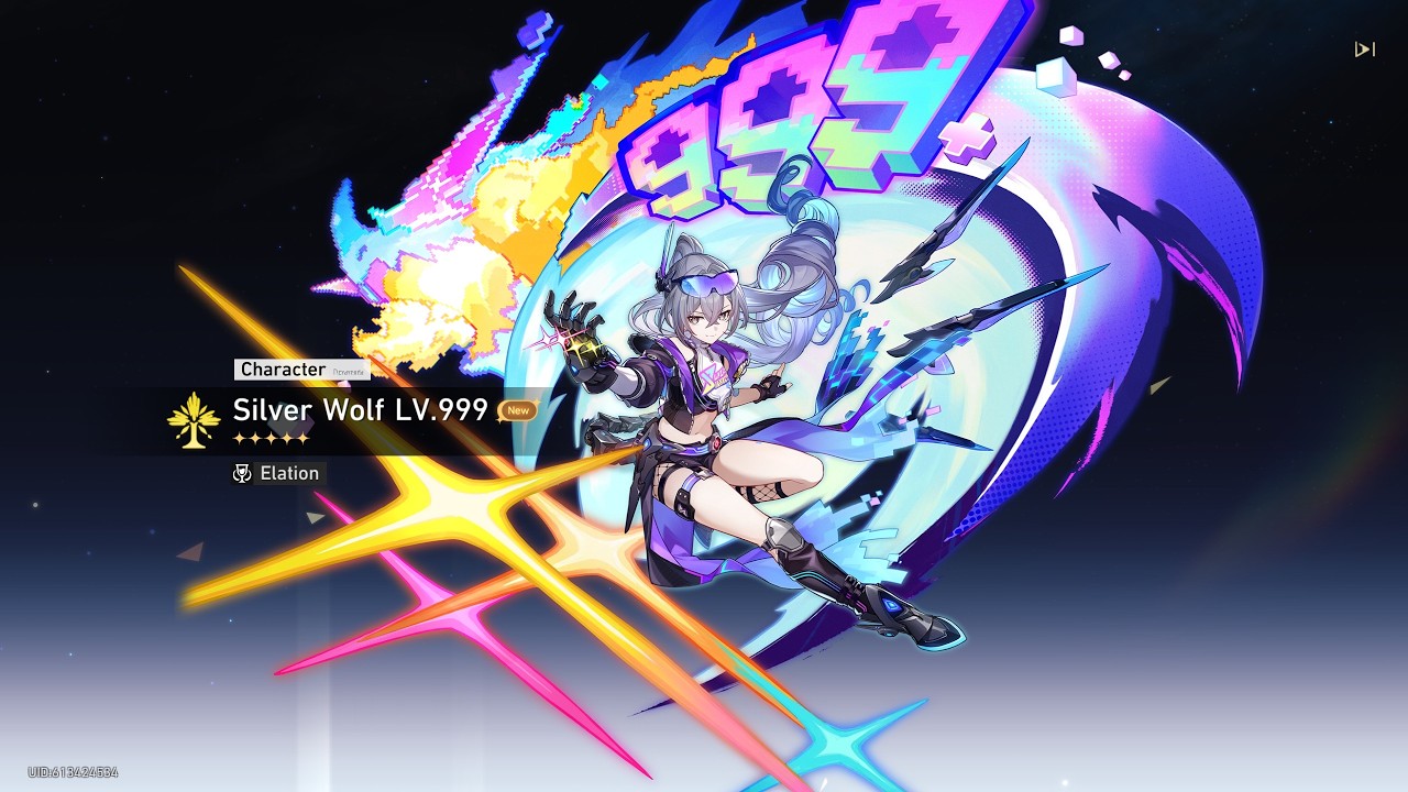 E2 Silver Wolf Lv. 999 Pulls (TurtleCamera)